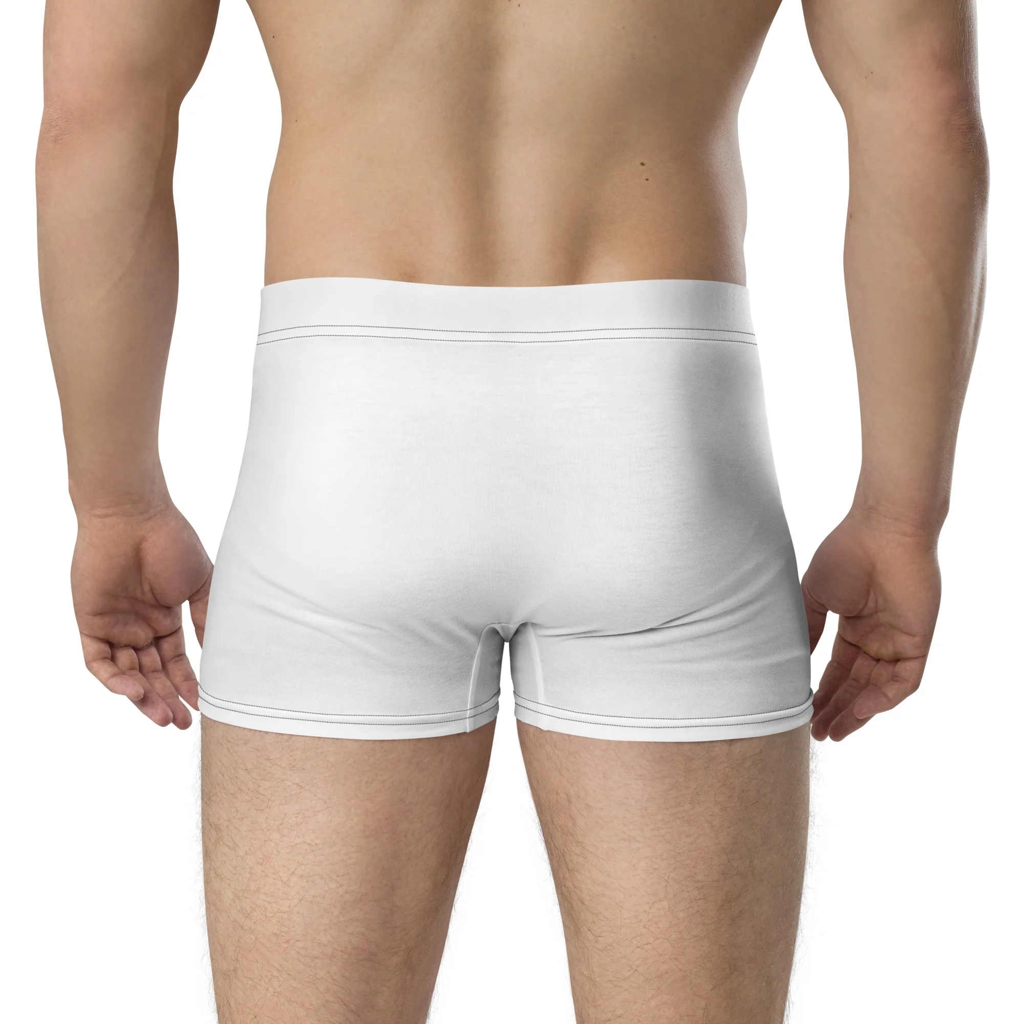 Bisexual Pride Flag Side Stripe Fade White Boxer Briefs Briefs - Image 2