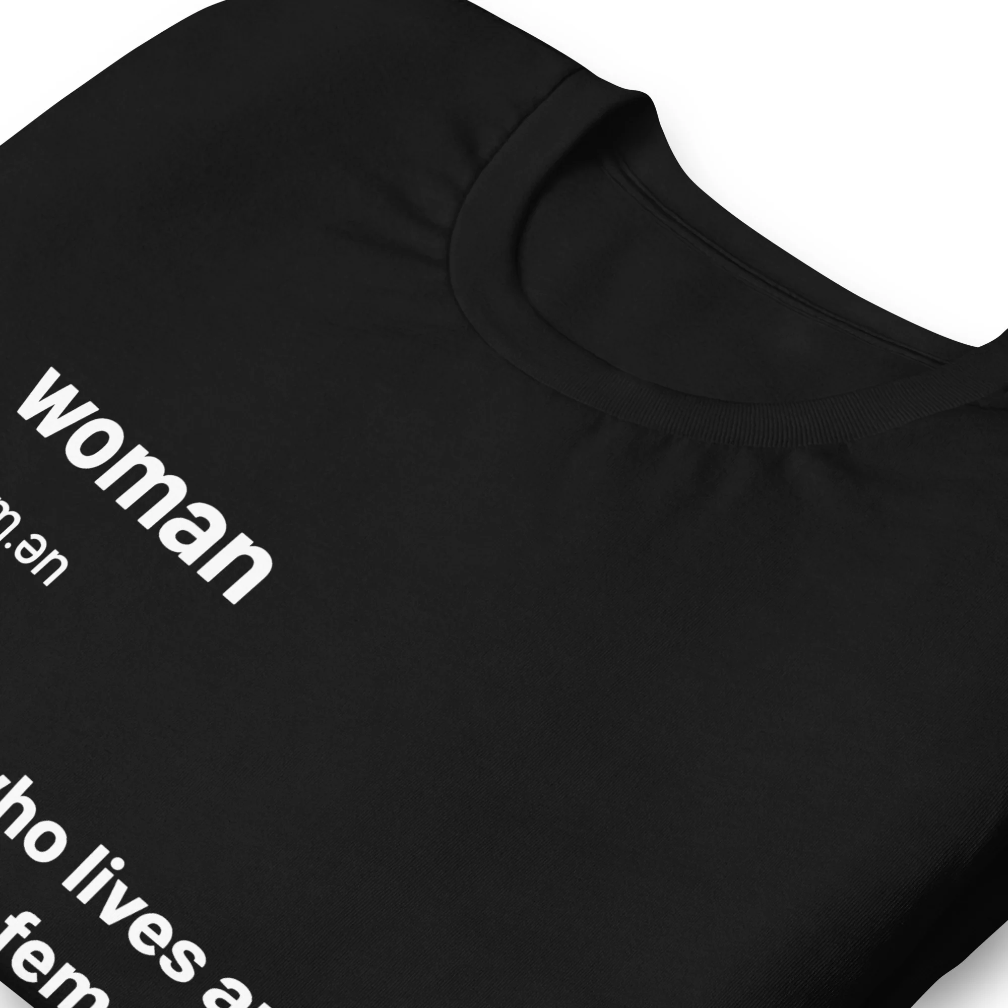 Trans Inclusive Definition Of A Woman T-shirt - Image 3
