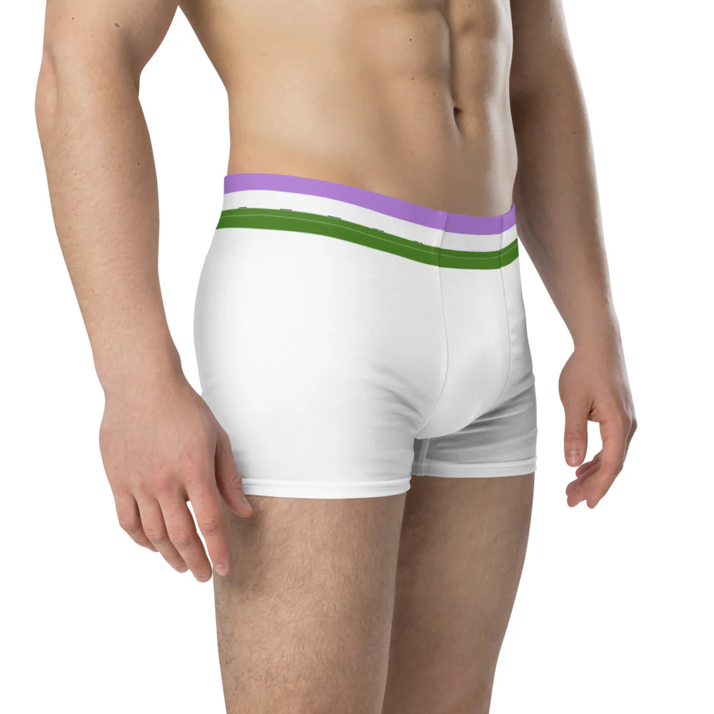 Genderqueer Flag Trim Boxer Briefs - Image 4