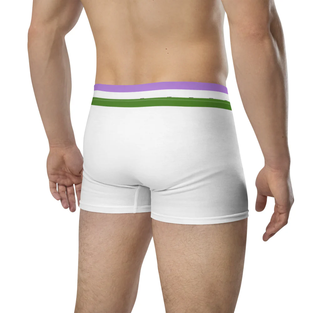 Genderqueer Flag Trim Boxer Briefs - Image 6