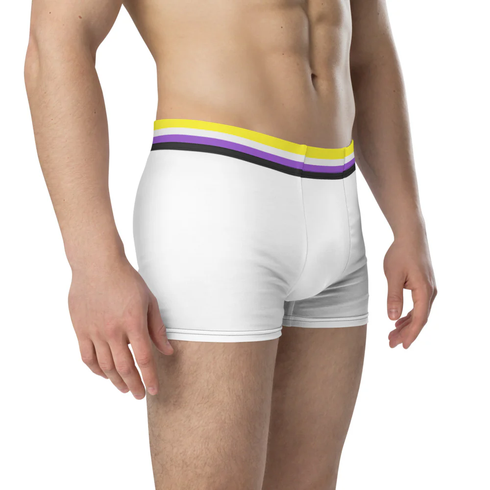 Non-Binary Flag Trim Boxer Briefs - Image 4