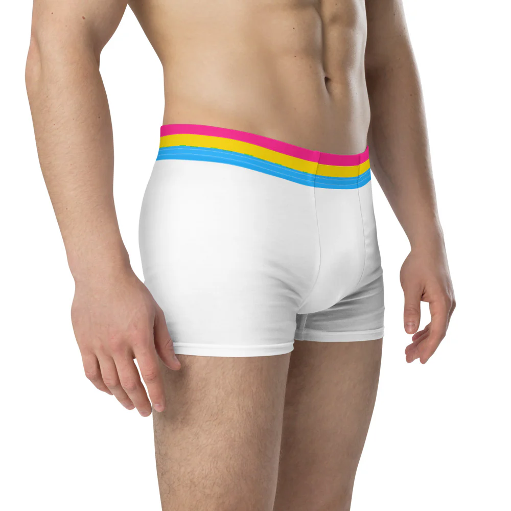 Pansexual Flag Trim Boxer Briefs - Image 4