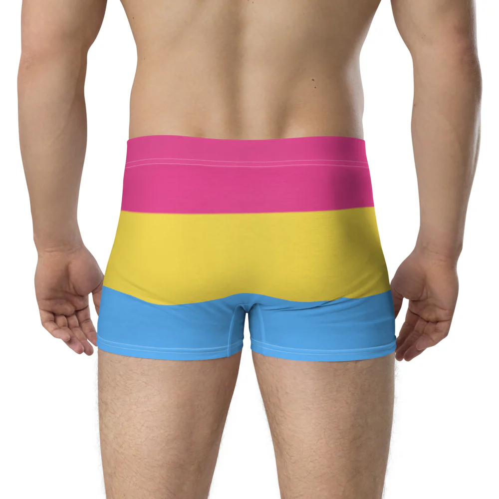 Pansexual Pride Flag Boxer Briefs - Image 3