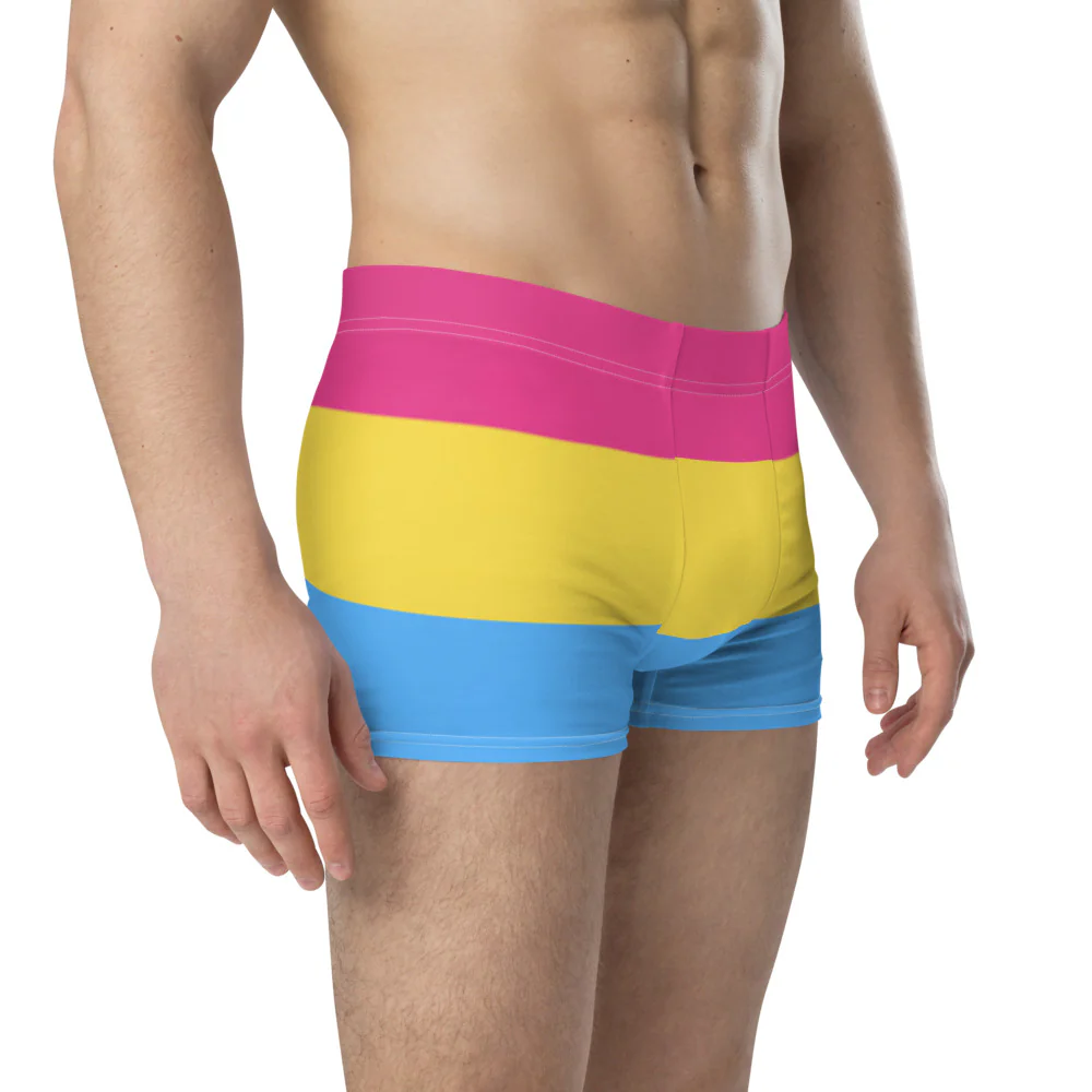 Pansexual Pride Flag Boxer Briefs - Image 4