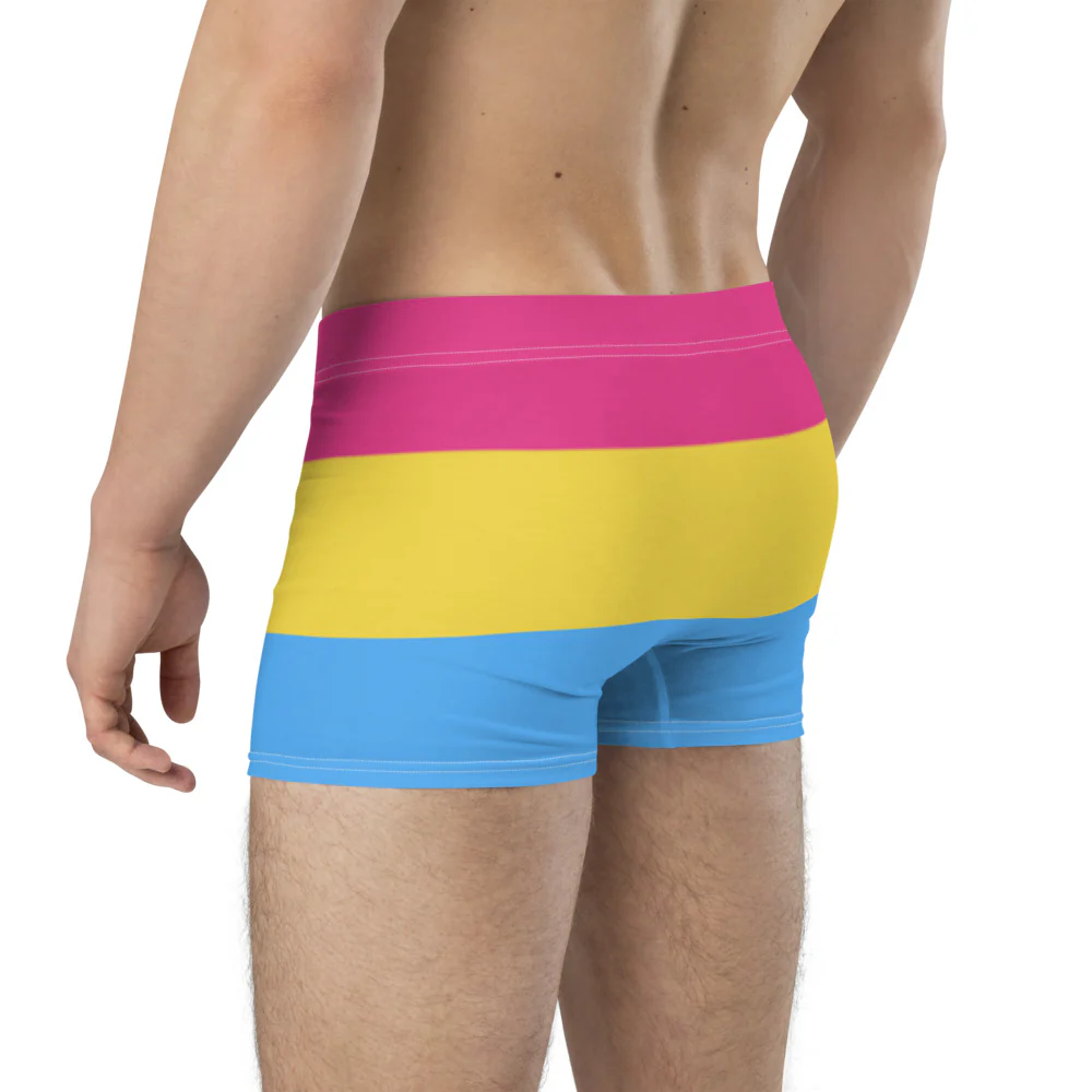 Pansexual Pride Flag Boxer Briefs - Image 5