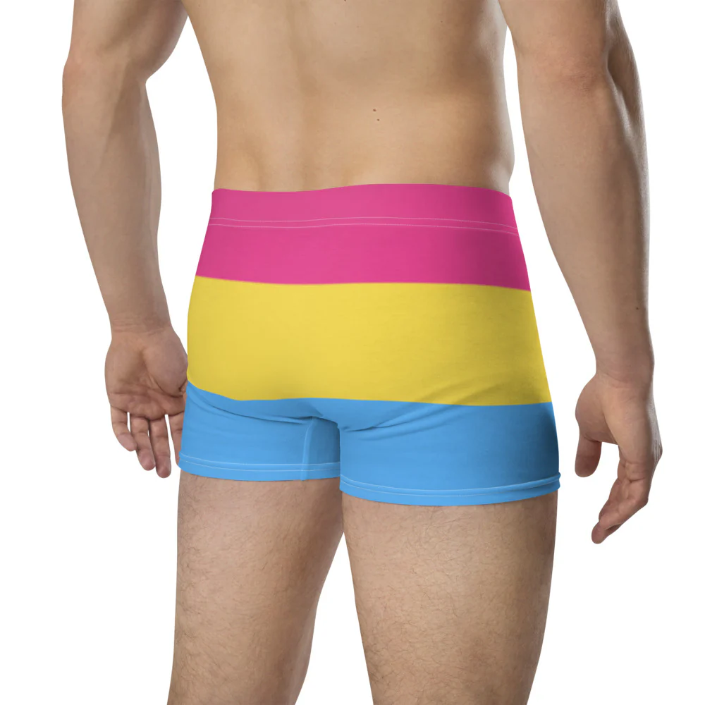 Pansexual Pride Flag Boxer Briefs - Image 6